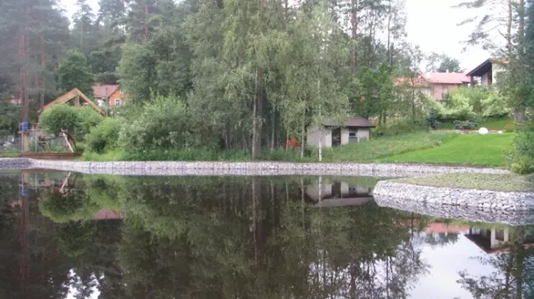 Расчищенное болото около поселка Токсово
