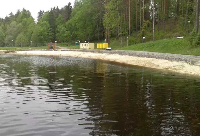 Лесной пляж на берегу реки